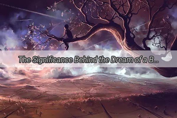 The Significance Behind the Dream of a Broken Broom Unveiling the Hidden Messages of Your Subconscious